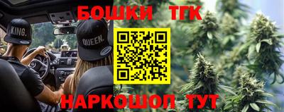 тгк Партизанск