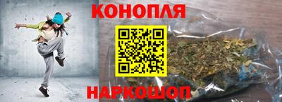 сатива Пенза