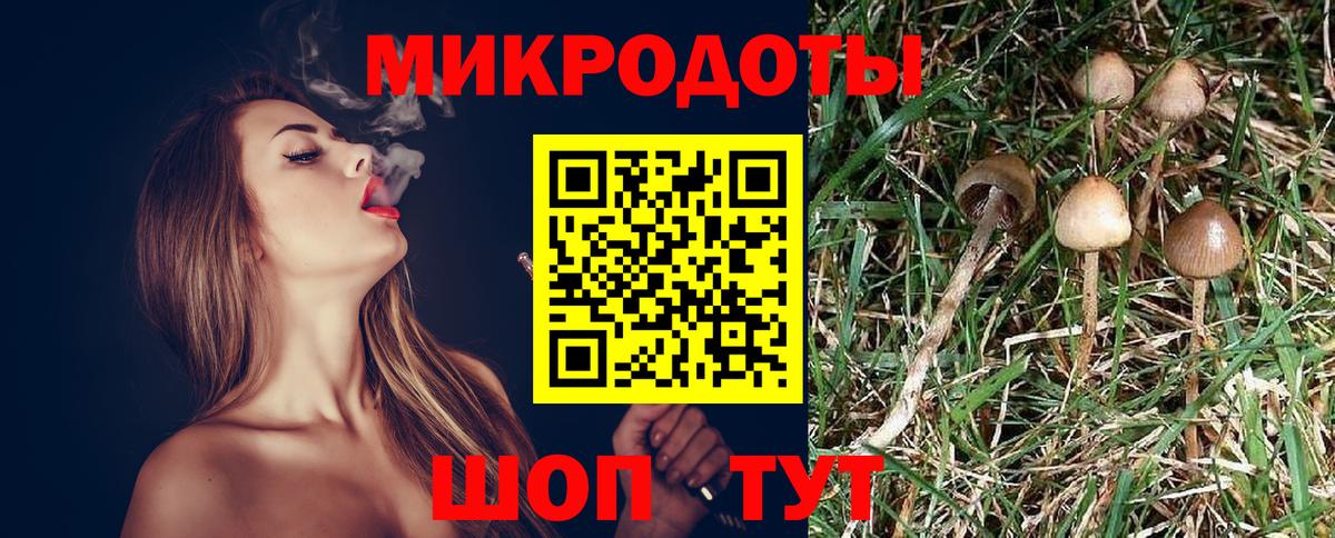Галлюциногенные грибы Magic Shrooms  Вход с VPN  продажа наркотиков  Рославль 